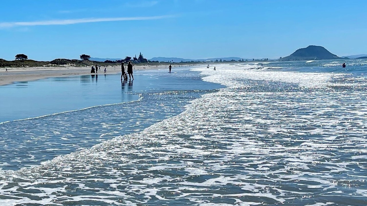 Photo of Others in Papamoa Beach