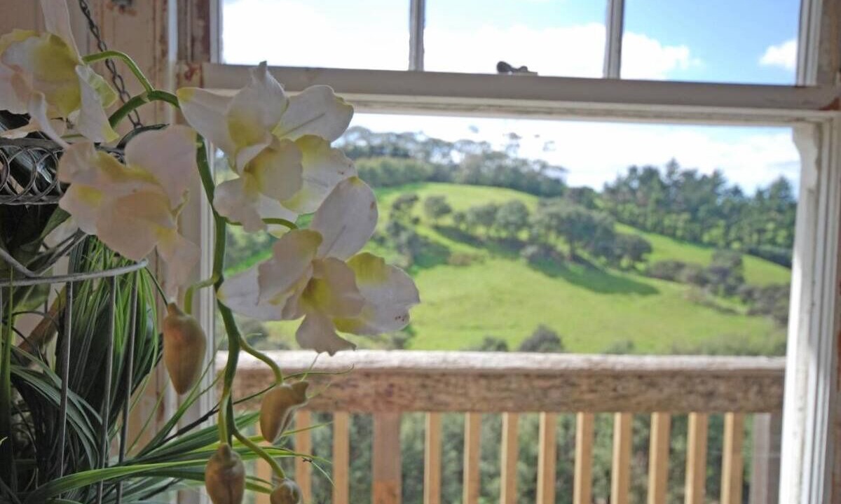 Photo of Others in Waimauku