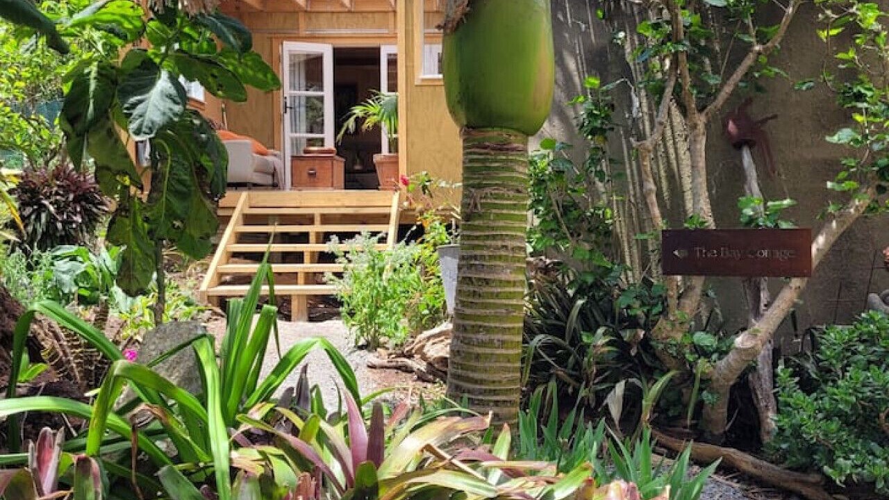 Photo of Outdoor in Tryphena