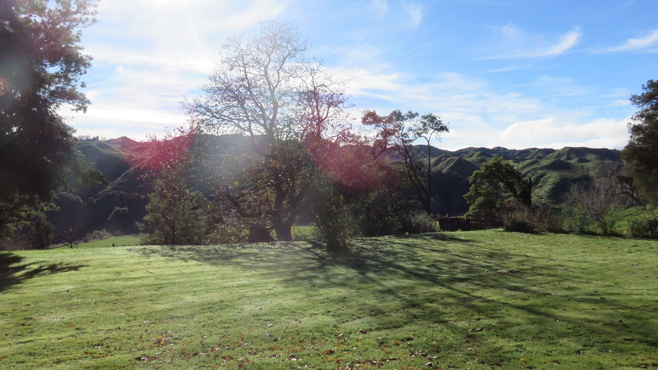 Photo of Others in Rangiwahia
