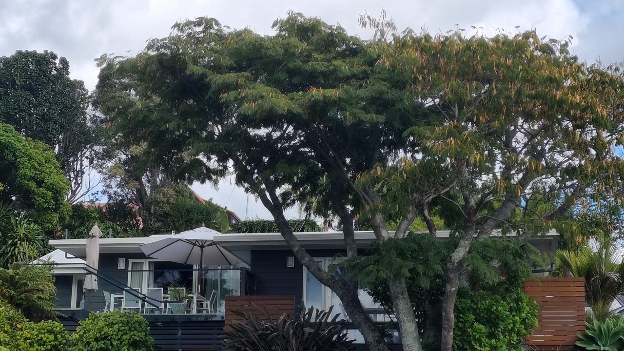 Photo of Outdoor in Tanners Point