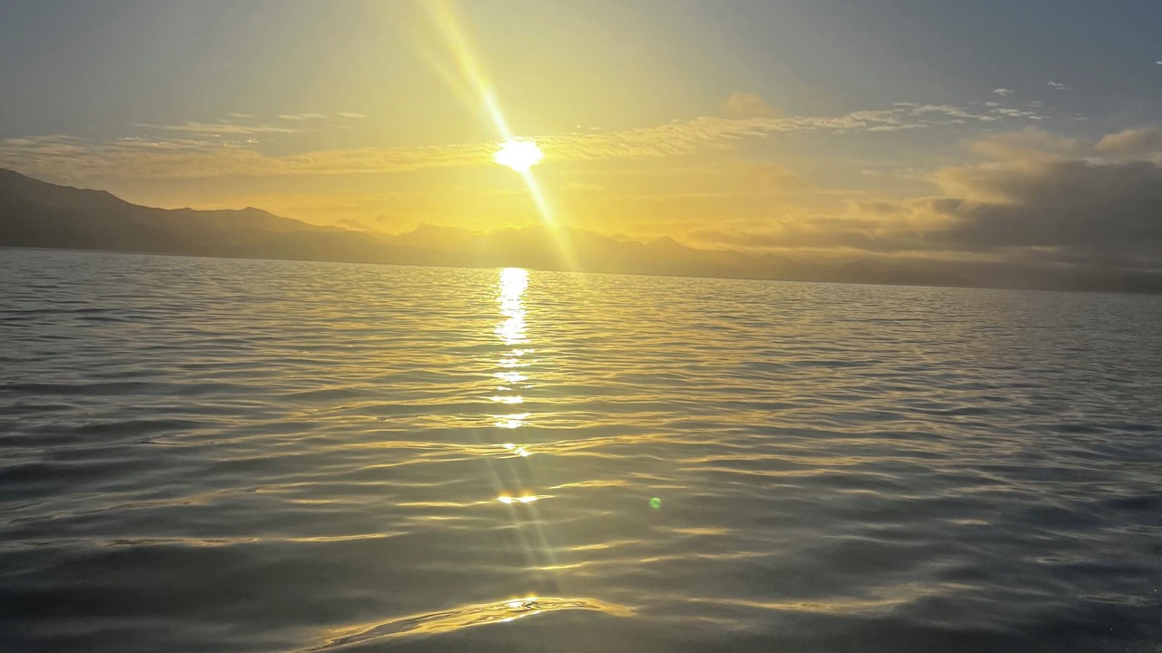 Photo of Others in Coromandel