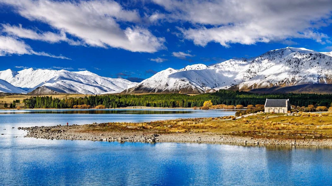 Photo of Others in Tekapo