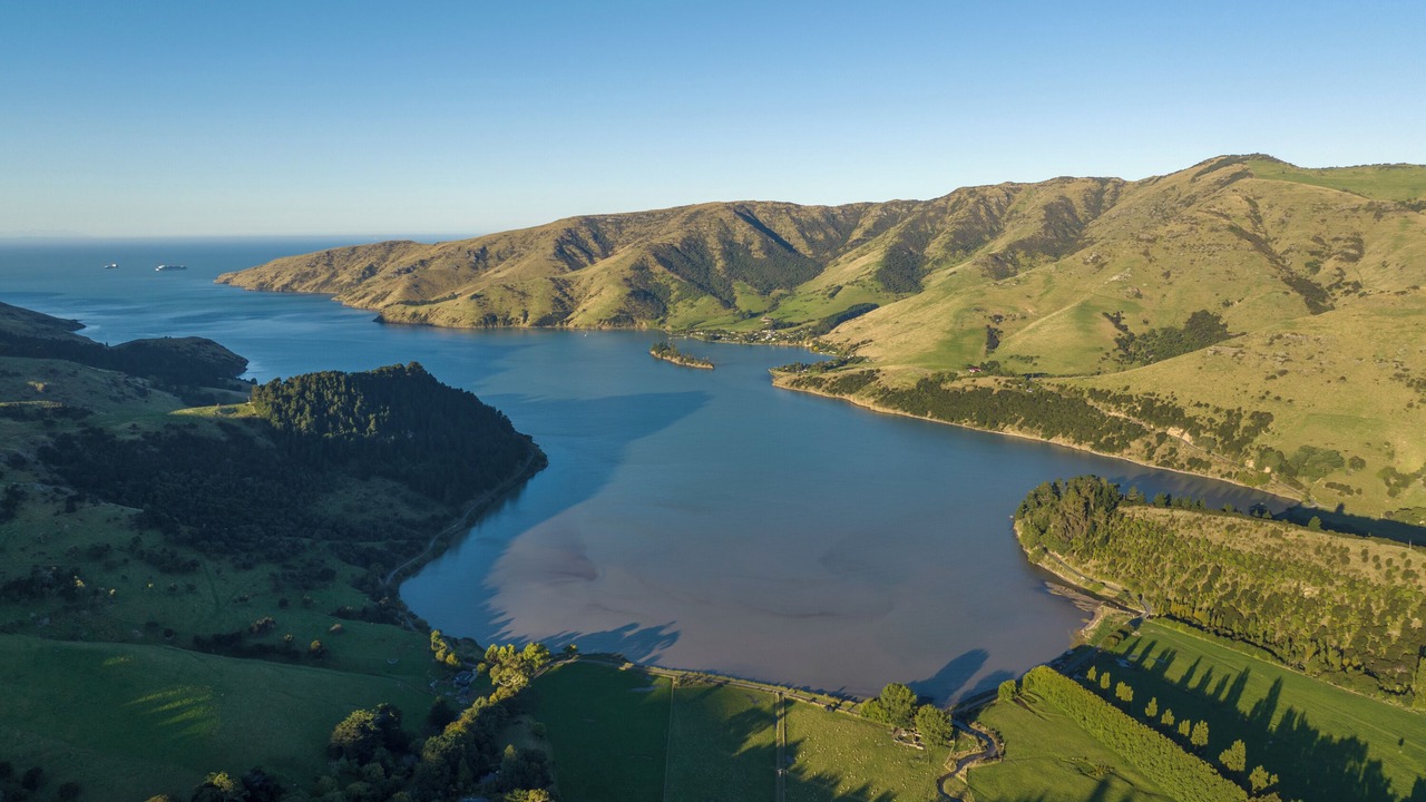 Photo of Outdoor in Christchurch District