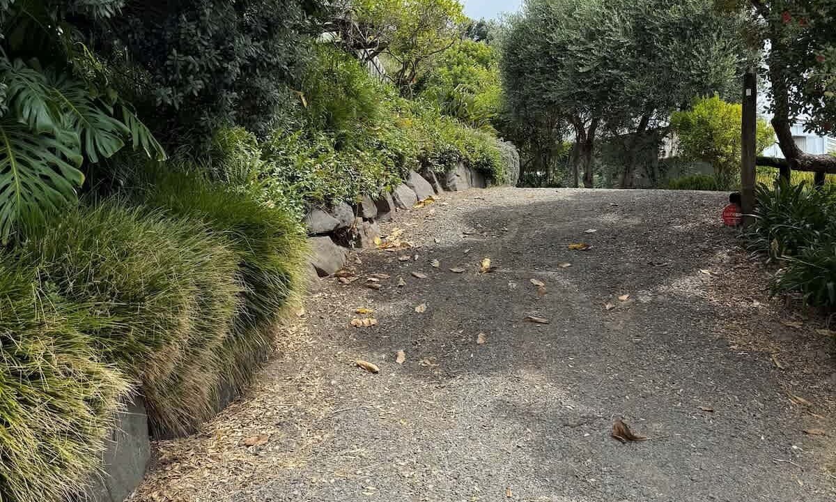 Photo of Outdoor in Hahei