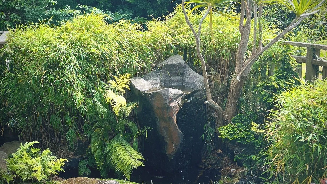 Photo of Outdoor in Bucklands Beach