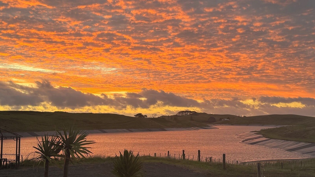 Photo of Others in Te Kopuru