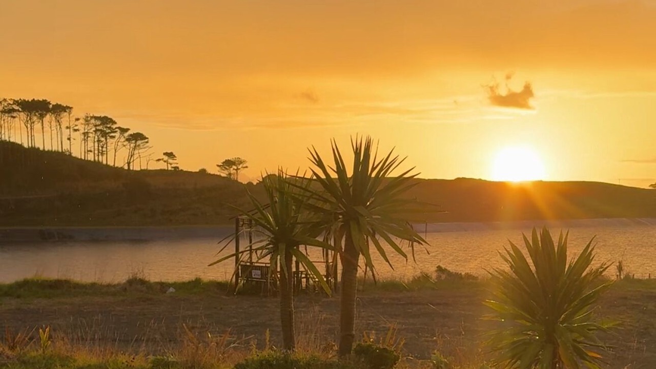 Photo of Others in Te Kopuru