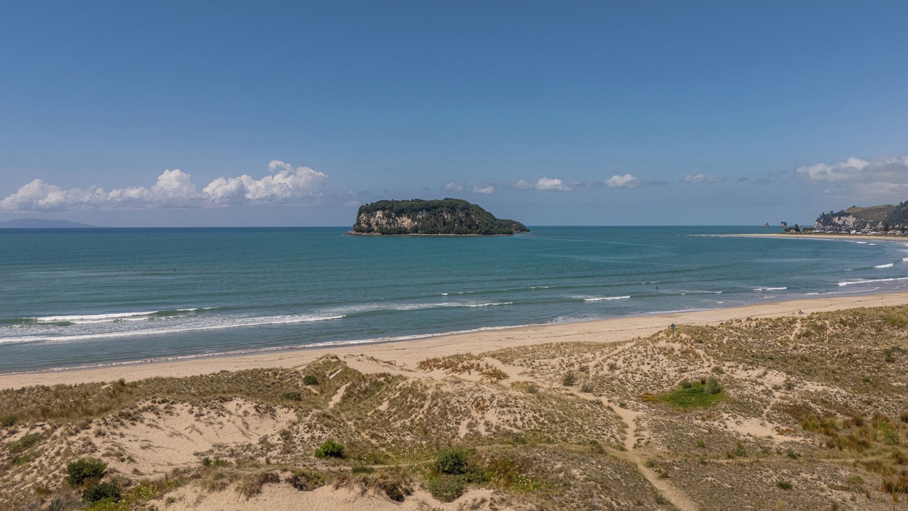Photo of Others in Whangamata