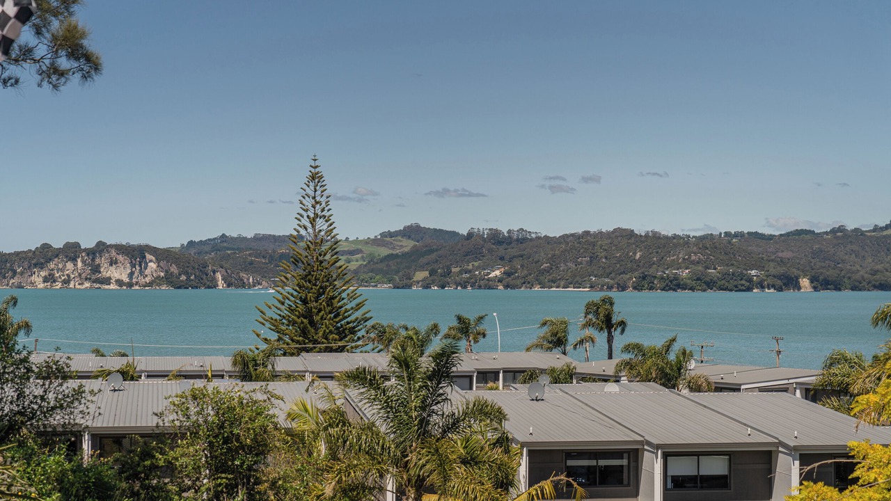 Photo of Others in Whitianga