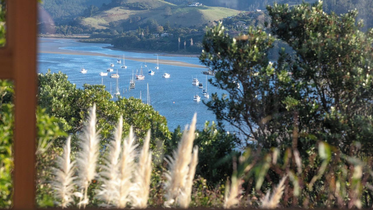 Photo of Others in Tairua