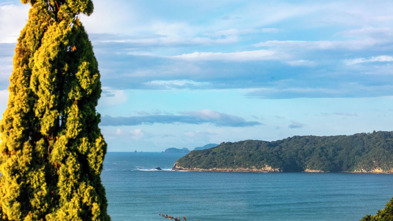 Photo of Others in Tairua