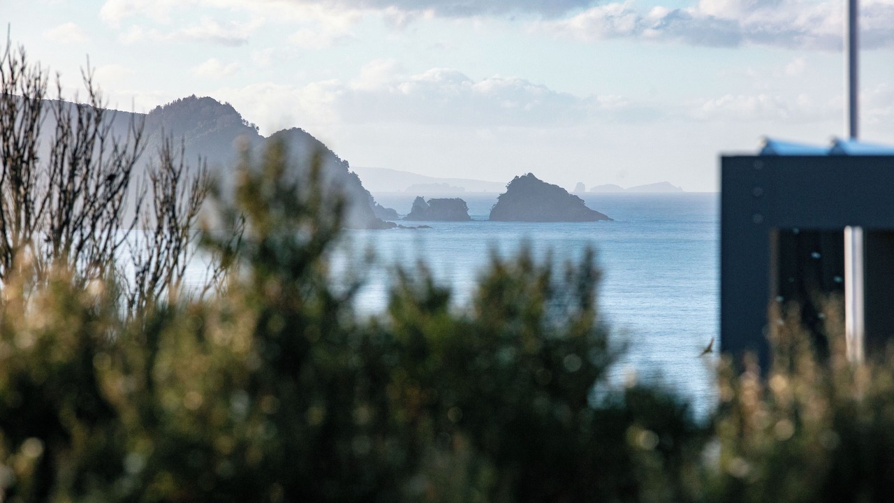 Photo of Others in Tairua