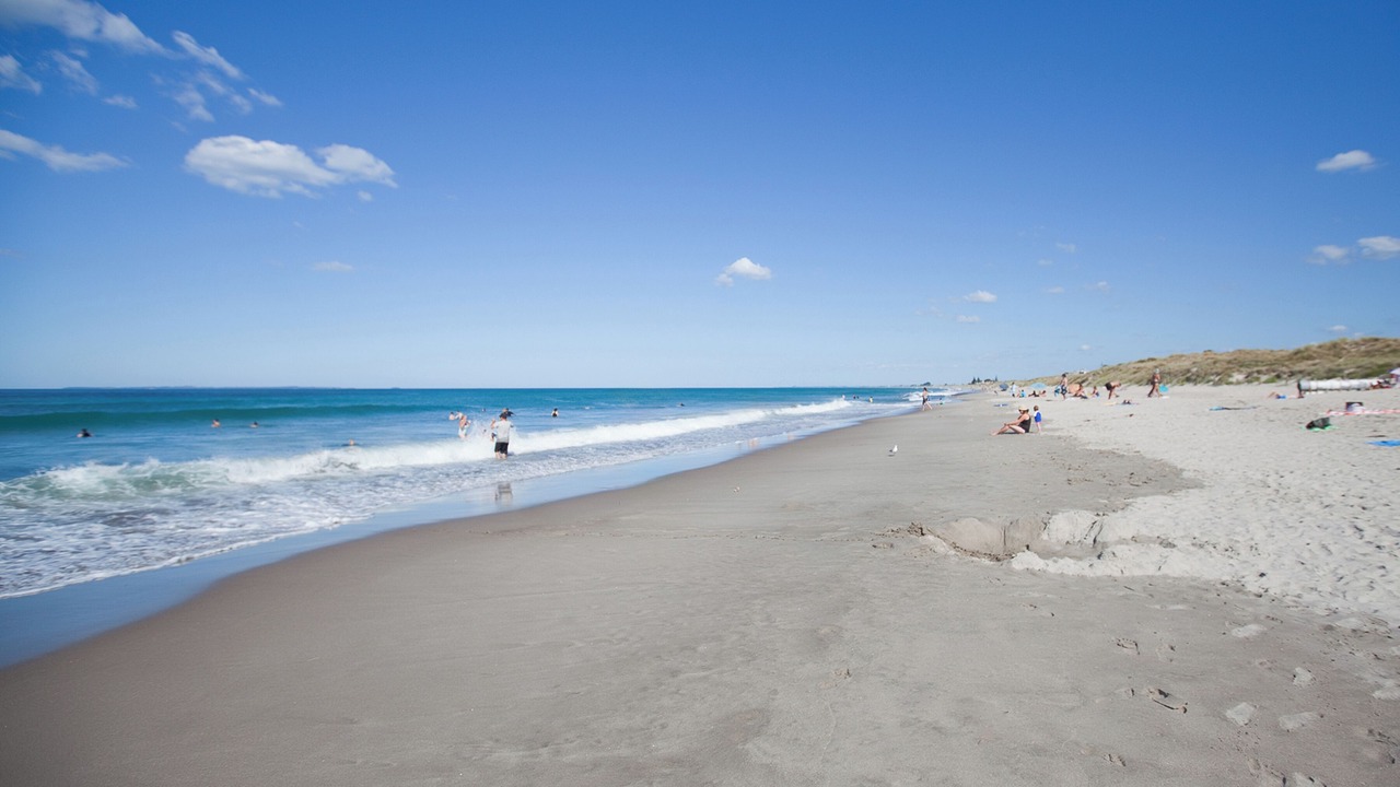 Photo of Others in Mount Maunganui