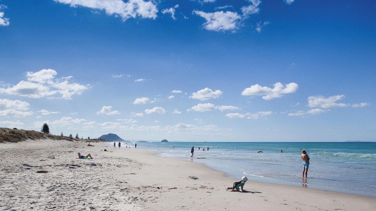 Photo of Others in Mount Maunganui