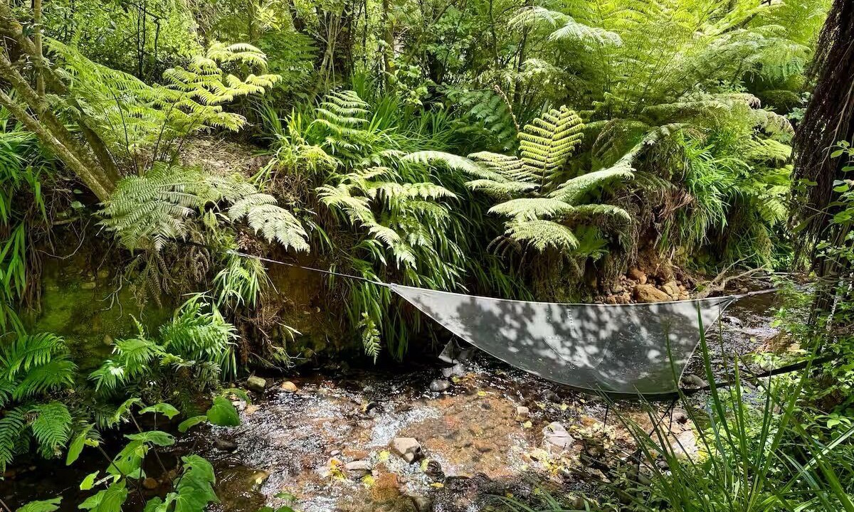 Photo of Others in Raglan