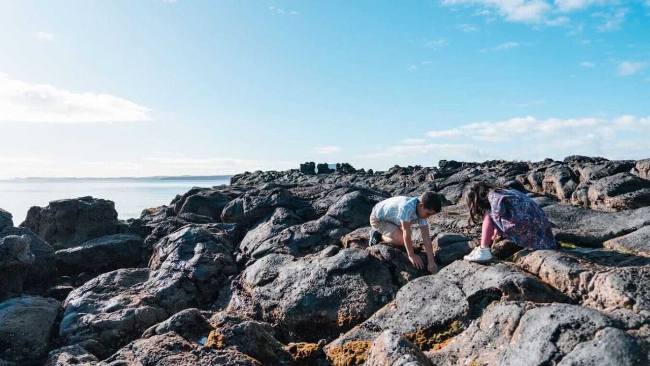 Photo of Others in Takapuna