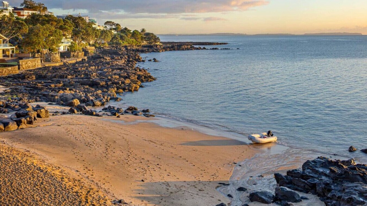 Photo of Others in Takapuna