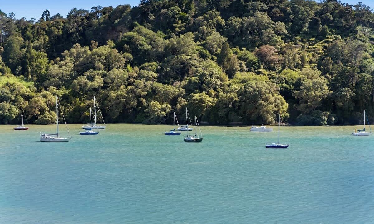 Photo of Others in Hobsonville
