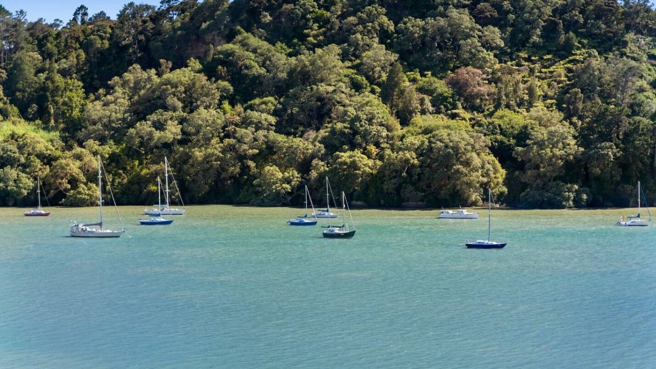 Photo of Others in Hobsonville