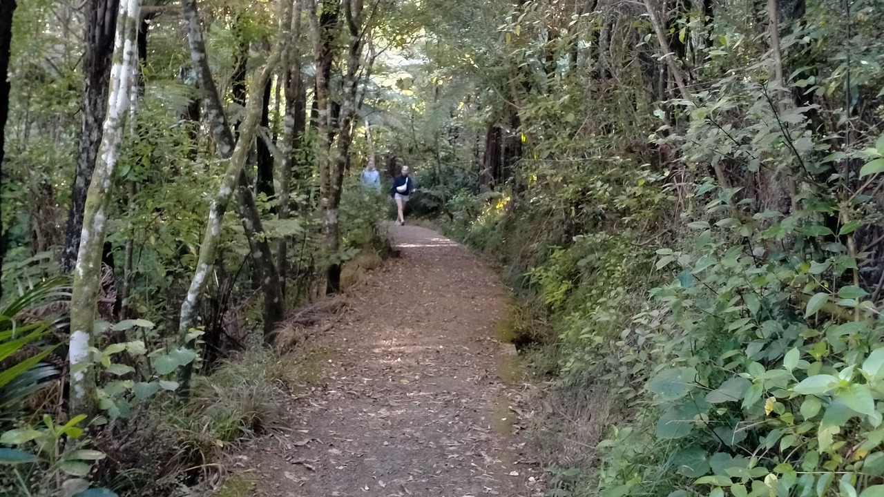 Photo of Others in Raglan
