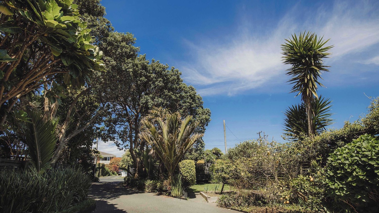 Photo of Outdoor in Oakura