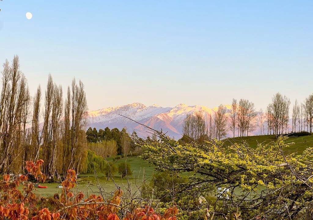 Photo of Others in Wanaka