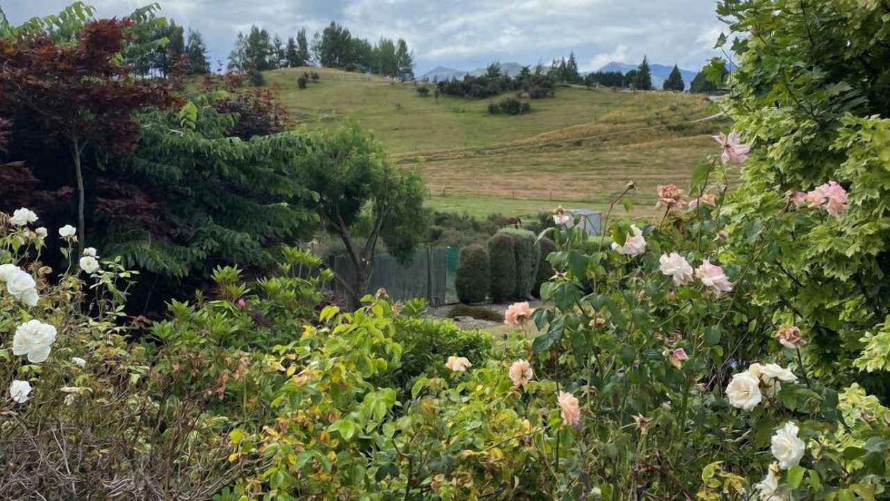 Photo of Outdoor in Wanaka