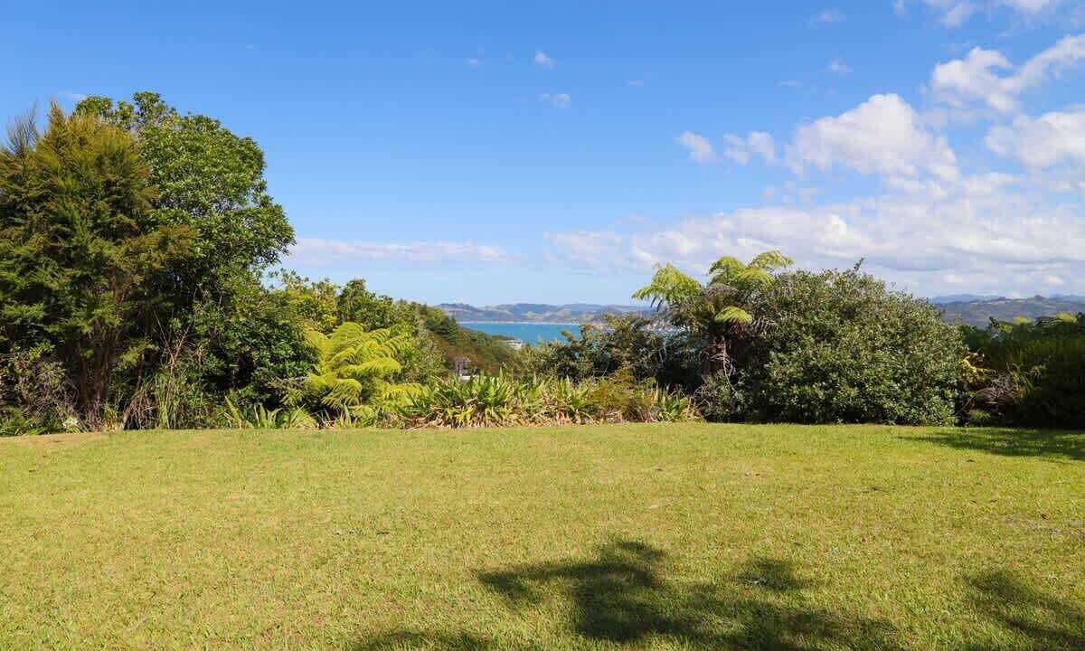 Photo of Others in Whitianga