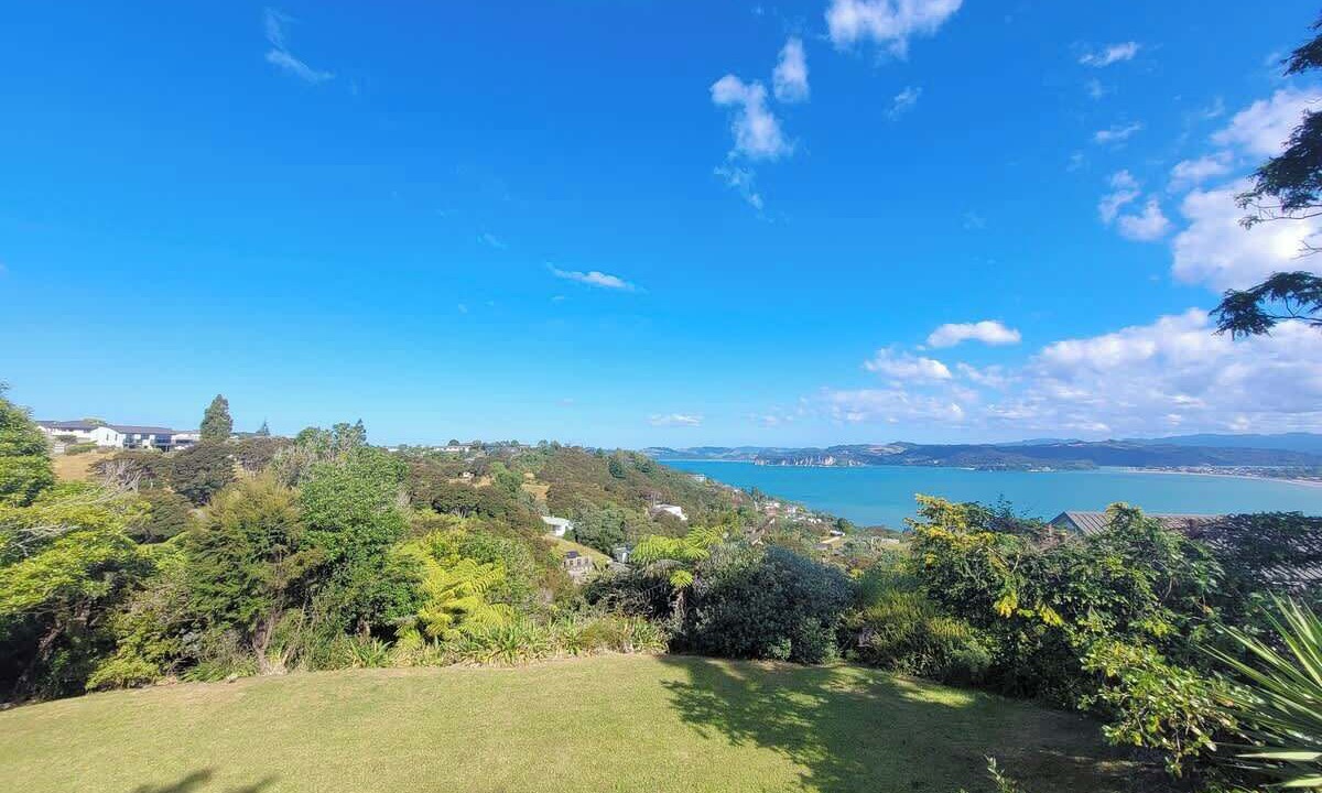Photo of Others in Whitianga