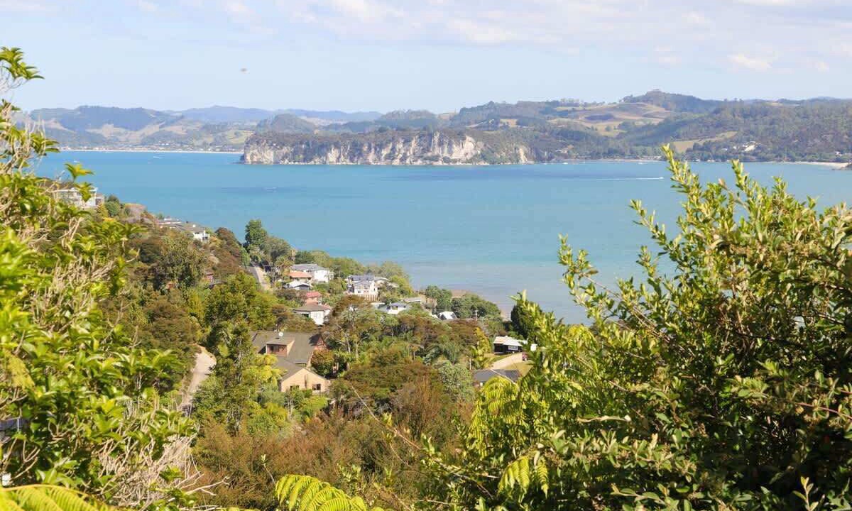 Photo of Others in Whitianga