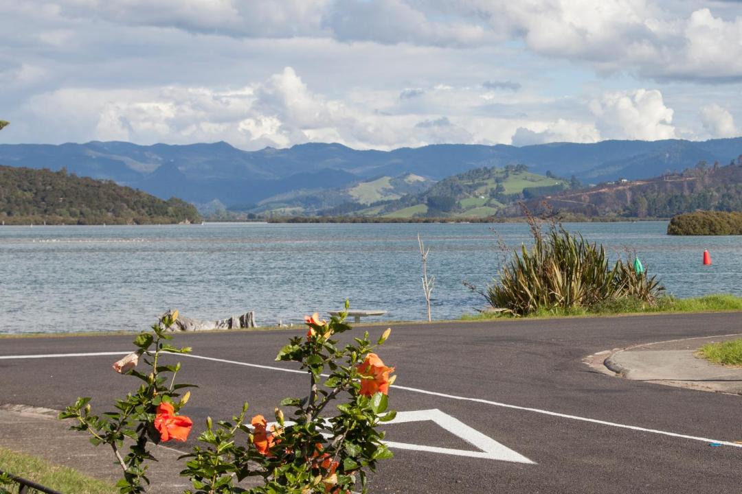 Photo of Others in Whitianga