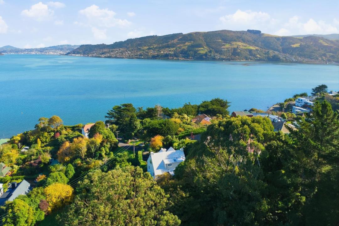 Photo of Others in Dunedin