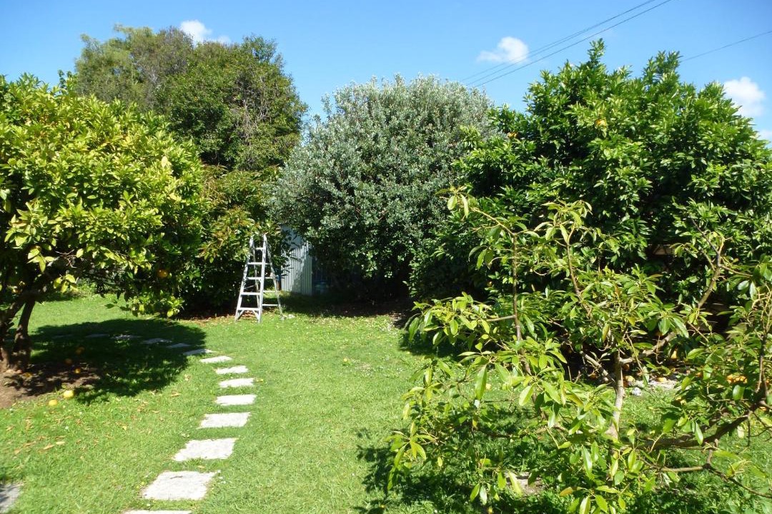 Photo of Outdoor in Hamilton East