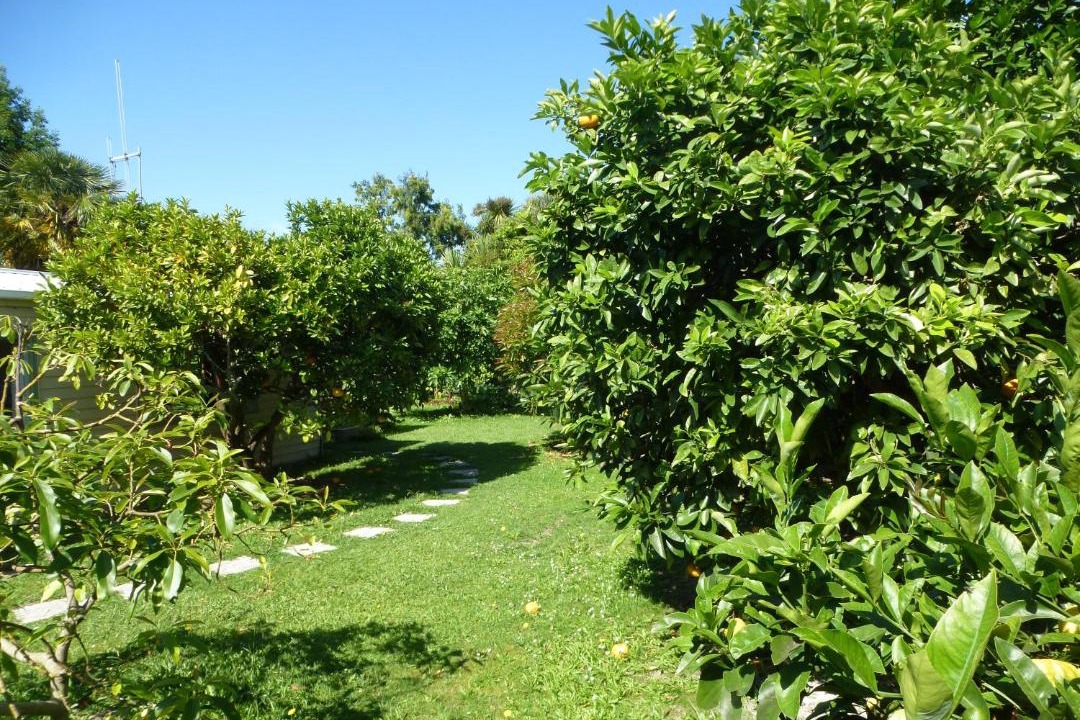 Photo of Outdoor in Hamilton East