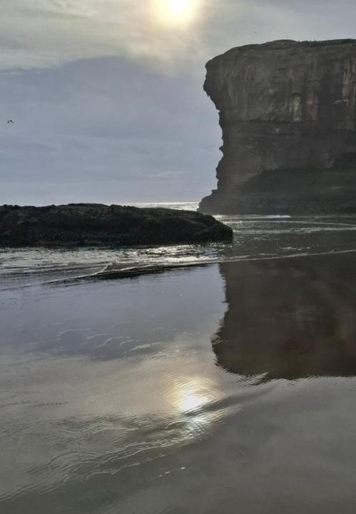 Photo of Others in Muriwai