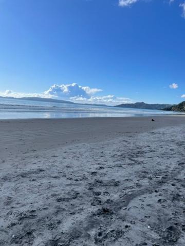 Photo of Others in Matarangi