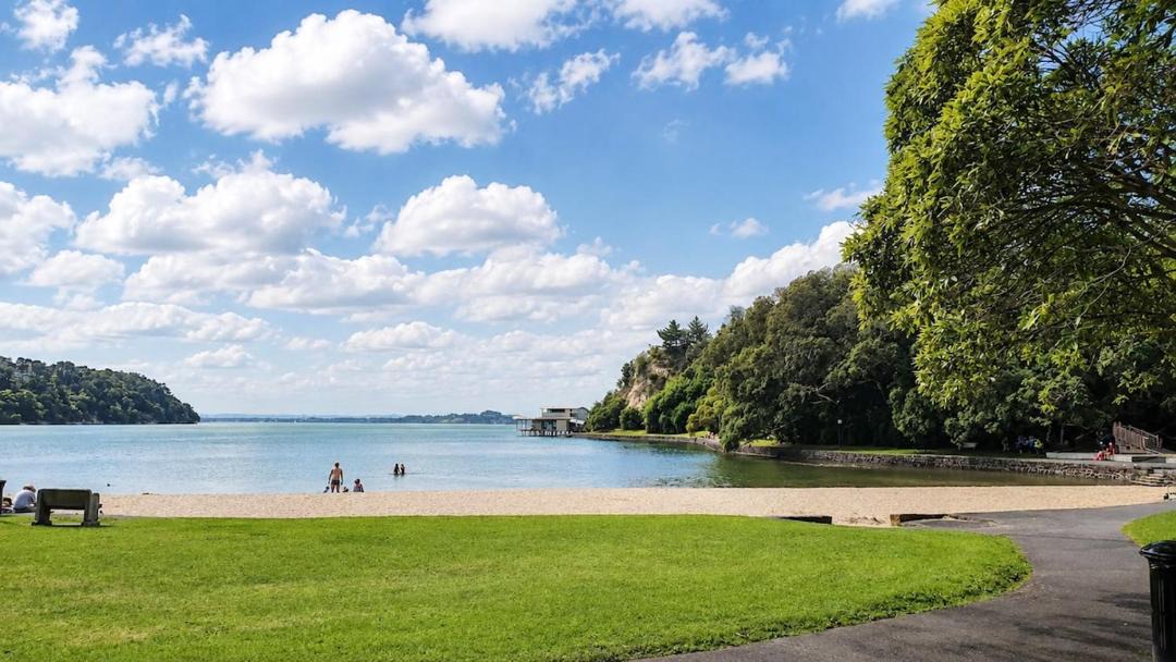 Photo of Others in Auckland