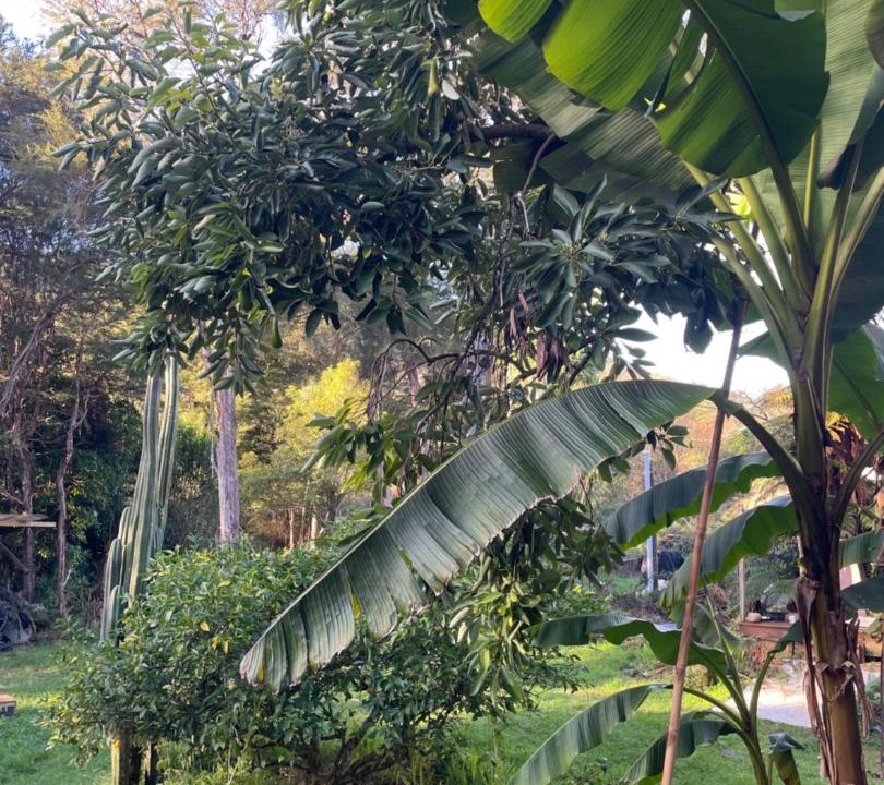 Photo of Outdoor in Marahau