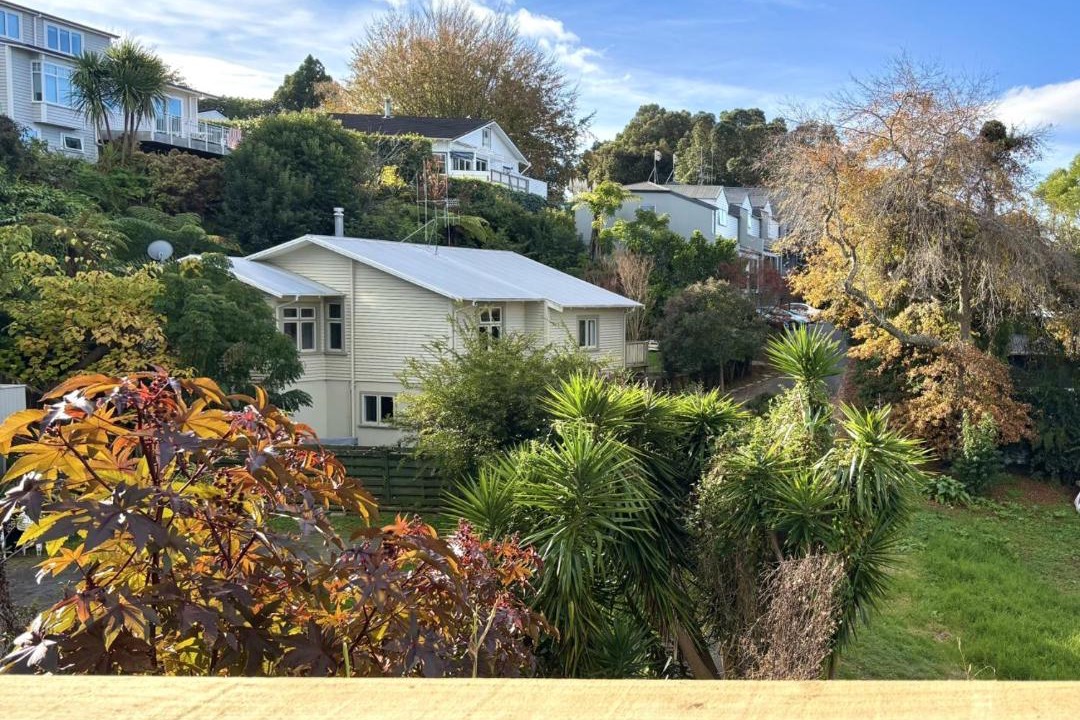 Photo of Others in Tauranga