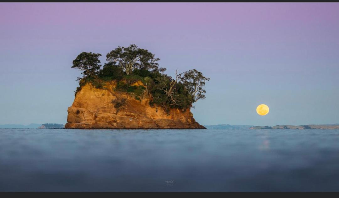 Photo of Others in Torbay