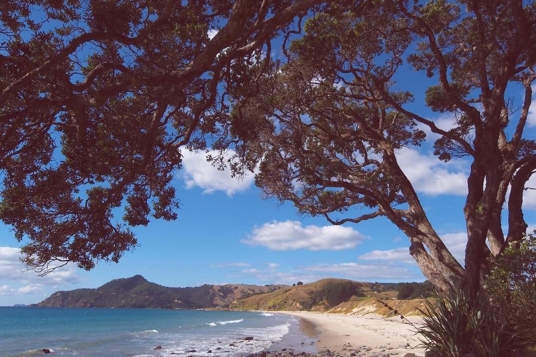Photo of Others in Rings Beach