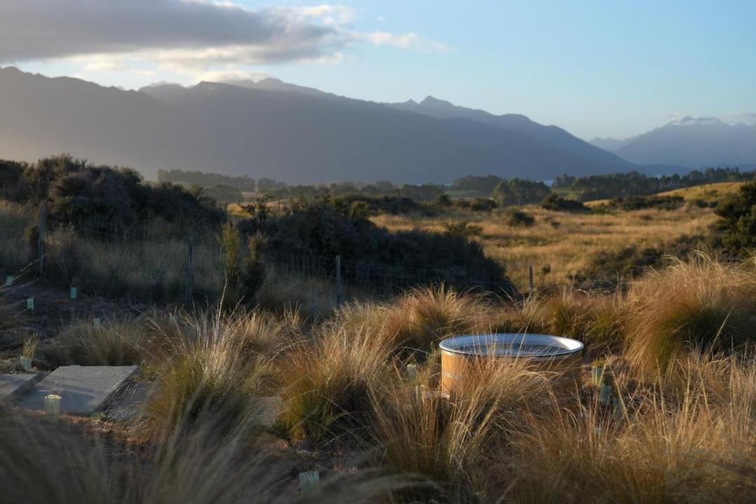 Photo of Others in Te Anau