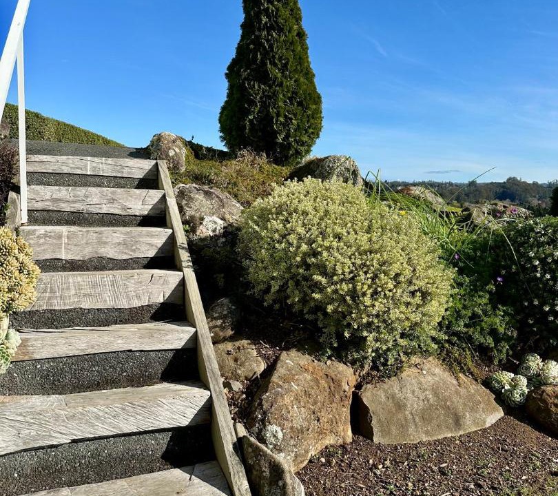 Photo of Others in Kerikeri