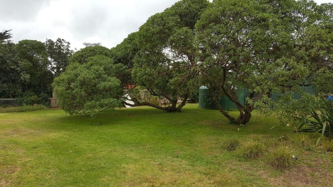 Photo of Others in Te Horo Beach
