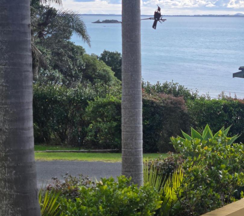 Photo of Others in Coopers Beach