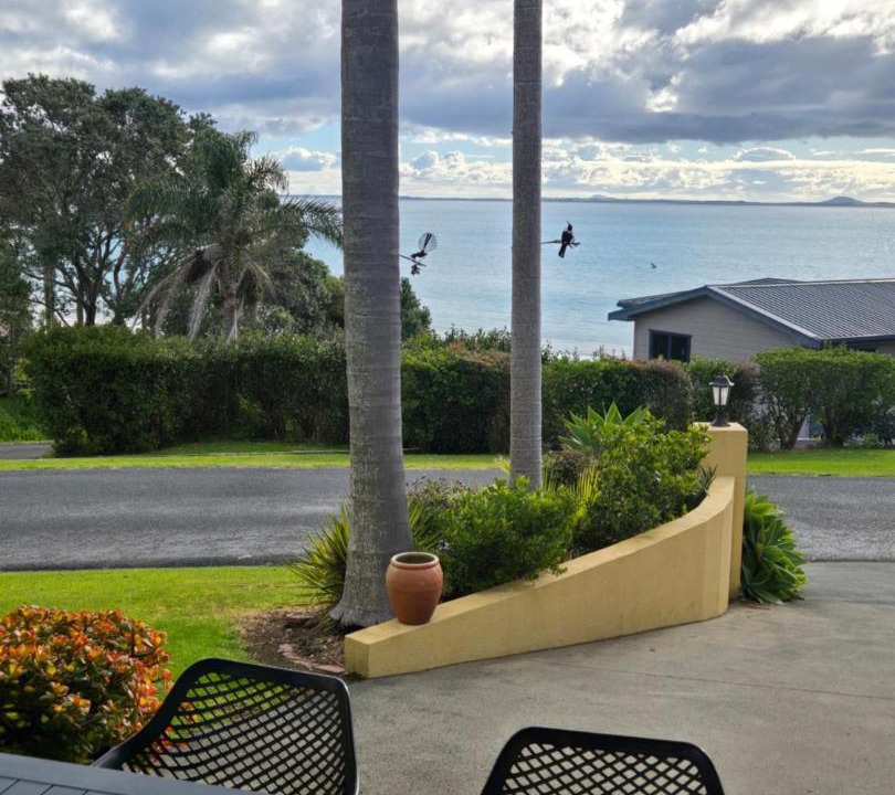 Photo of Others in Coopers Beach
