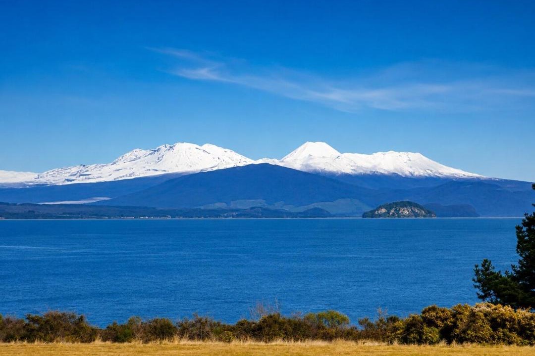 Photo of Others in Waitahanui