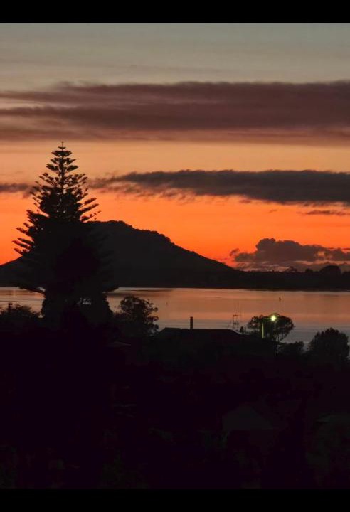 Photo of Others in Omokoroa
