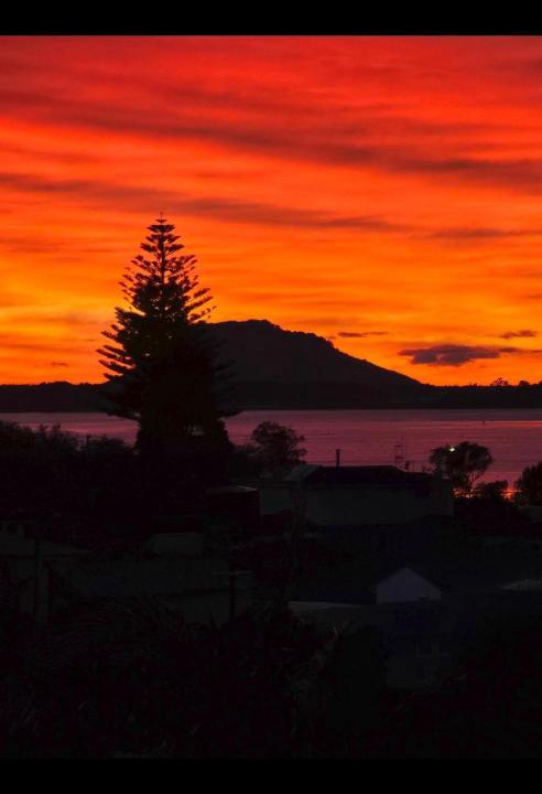 Photo of Others in Omokoroa